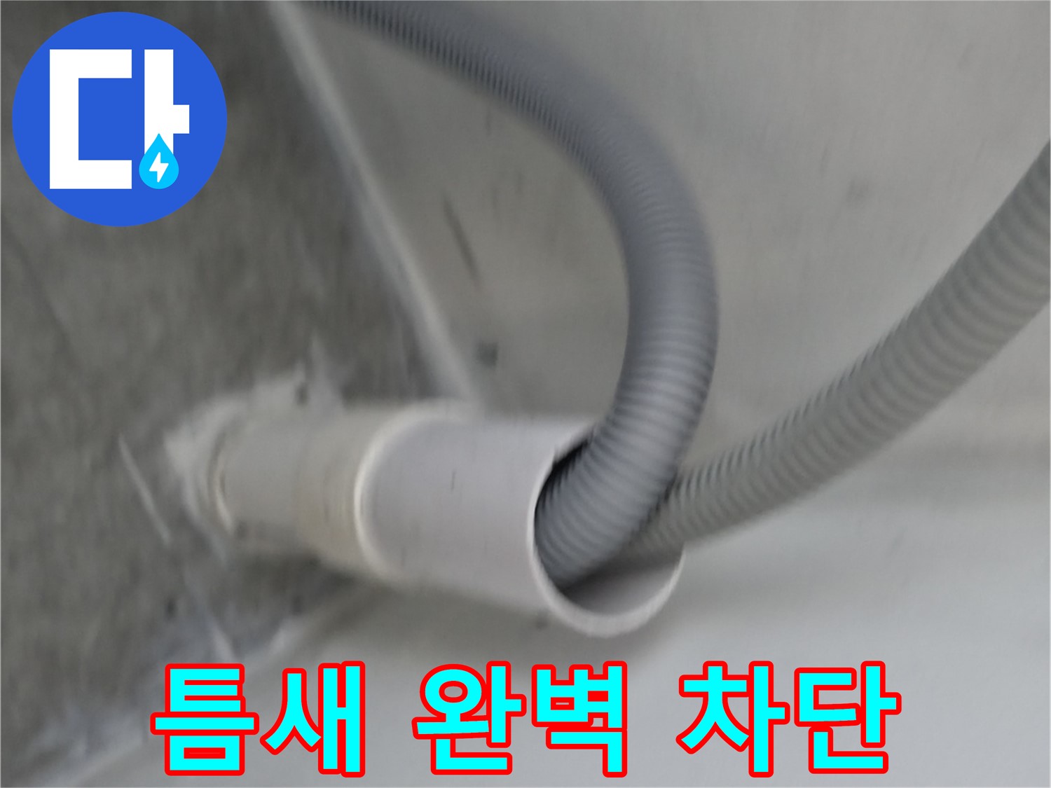 신림동 세탁기 배수구 연결 틈새 완벽 차단 완료