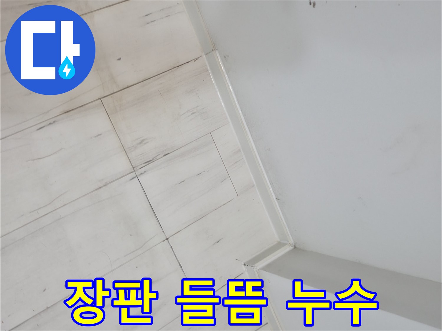 신림동 장판 들뜸 - 누수 의심
