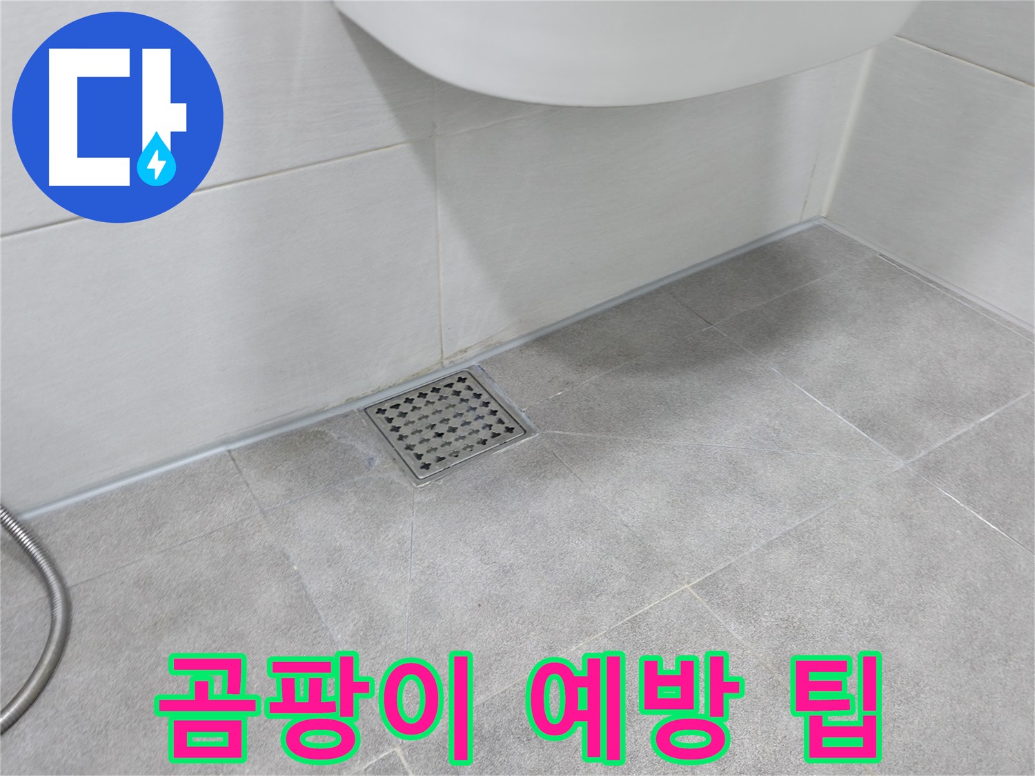 신림동 하이츠빌라 베란다 곰팡이 예방 - 관리 팁 공개