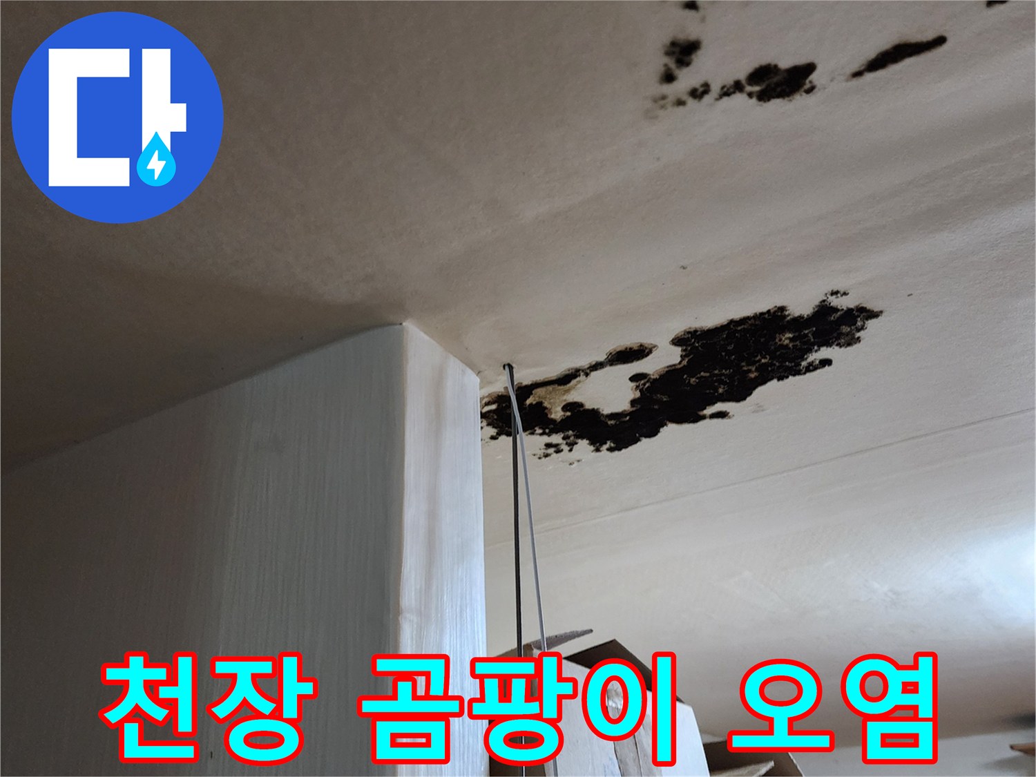 검은색 곰팡이가 번져 있는 천장 마감재의 모습