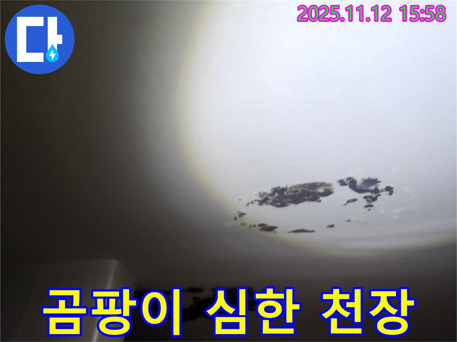 구읍리 - 곰팡이가 심하게 핀 천장 누수 현장