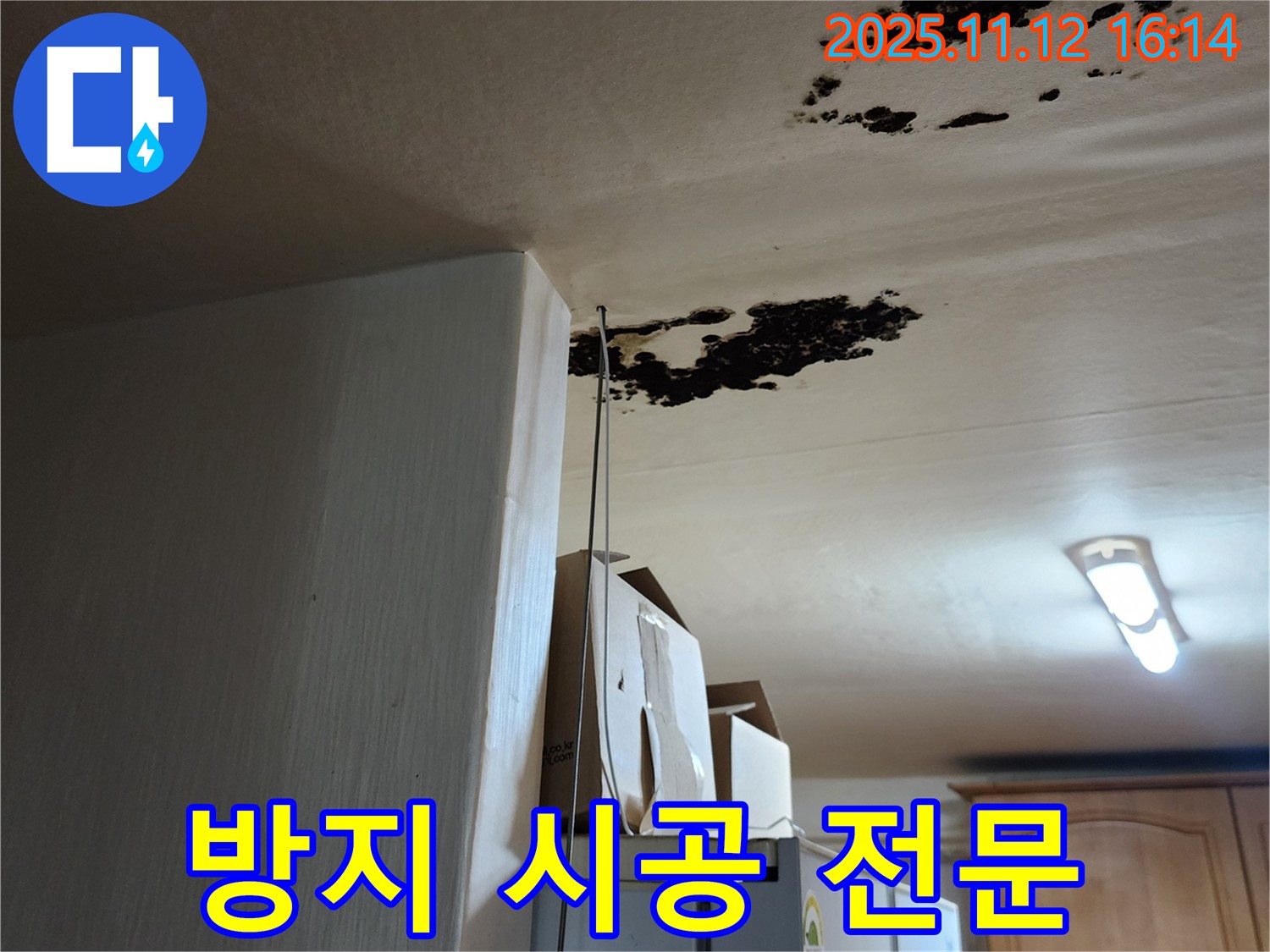 구읍리 누수 - 곰팡이, 악취 제거 - 곰팡이 방지 시공 전문
