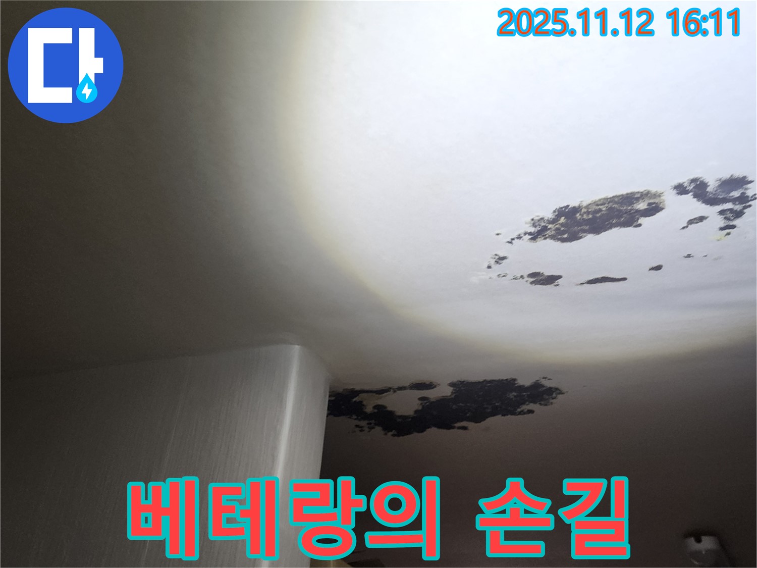구읍리 누수 - 곰팡이 천장 누수, 포천 누수 베테랑 시공