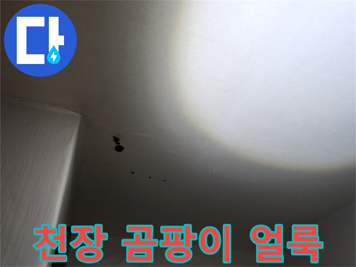 구읍리 현장 점검-천장의 검은 곰팡이와 습기 흔적