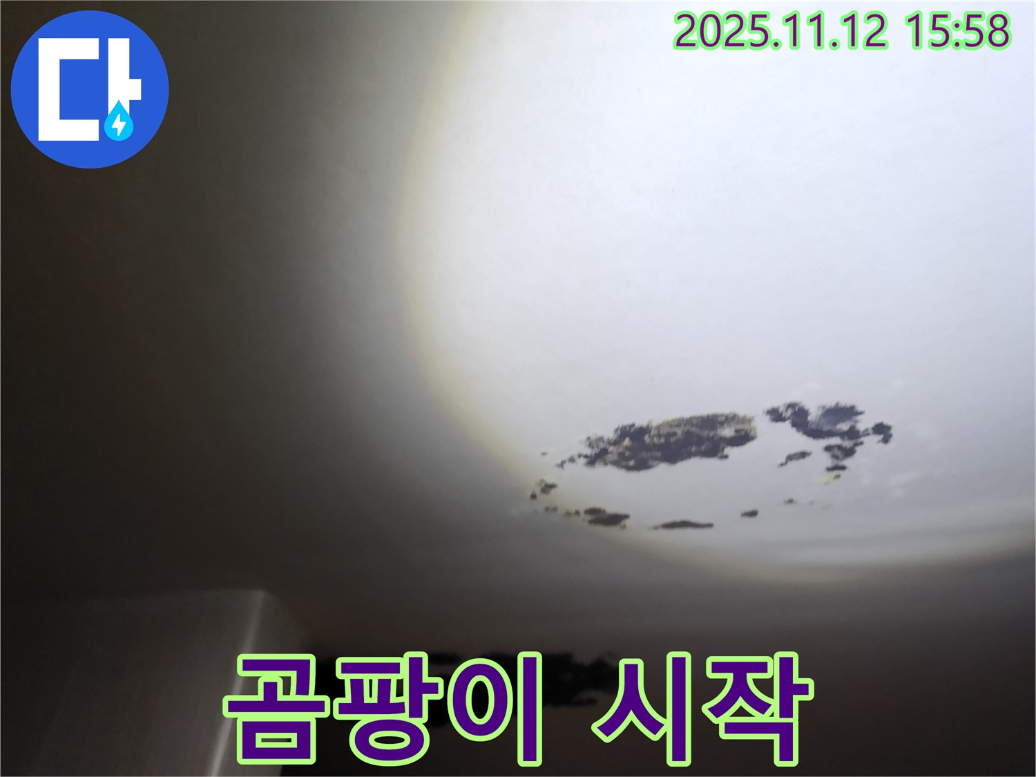 군내면 - 곰팡이가 시작된 천장 누수 현장