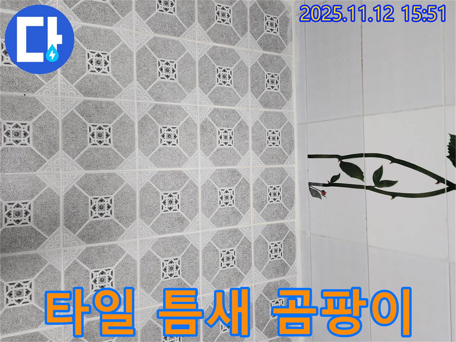 군내면 구읍리 타일 틈새 곰팡이 - 천연 제거제 활용