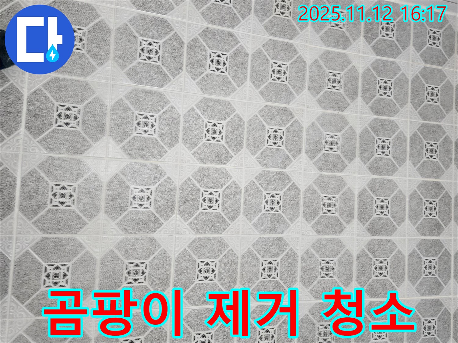 군내면 누수 - 욕실 곰팡이 제거제를 사용하여 찌든 때와 곰팡이를 깨끗하게 제거하고 쾌적한 욕실을 유지하세요.