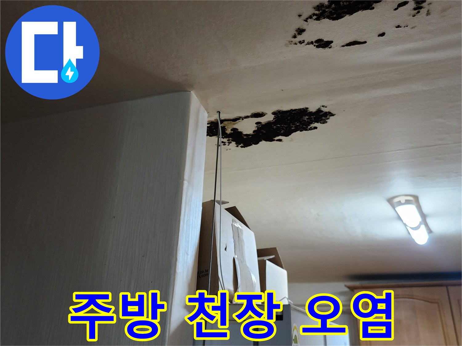 물자국과 곰팡이가 심하게 번진 주방 천장 모습