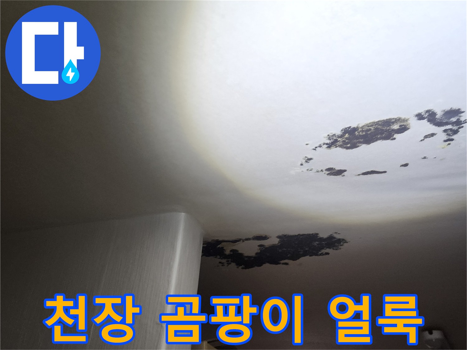 심하게 변색된 천장의 곰팡이 및 물자국 부위