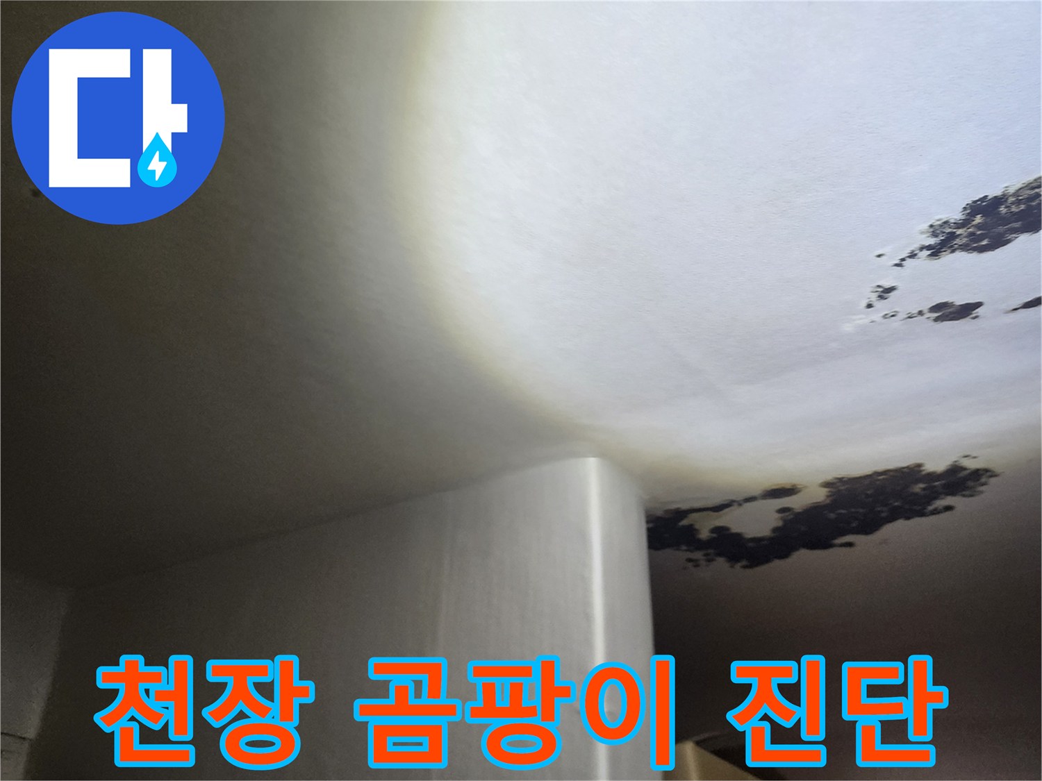 천장 벽면의 검은색 곰팡이 번식 부위