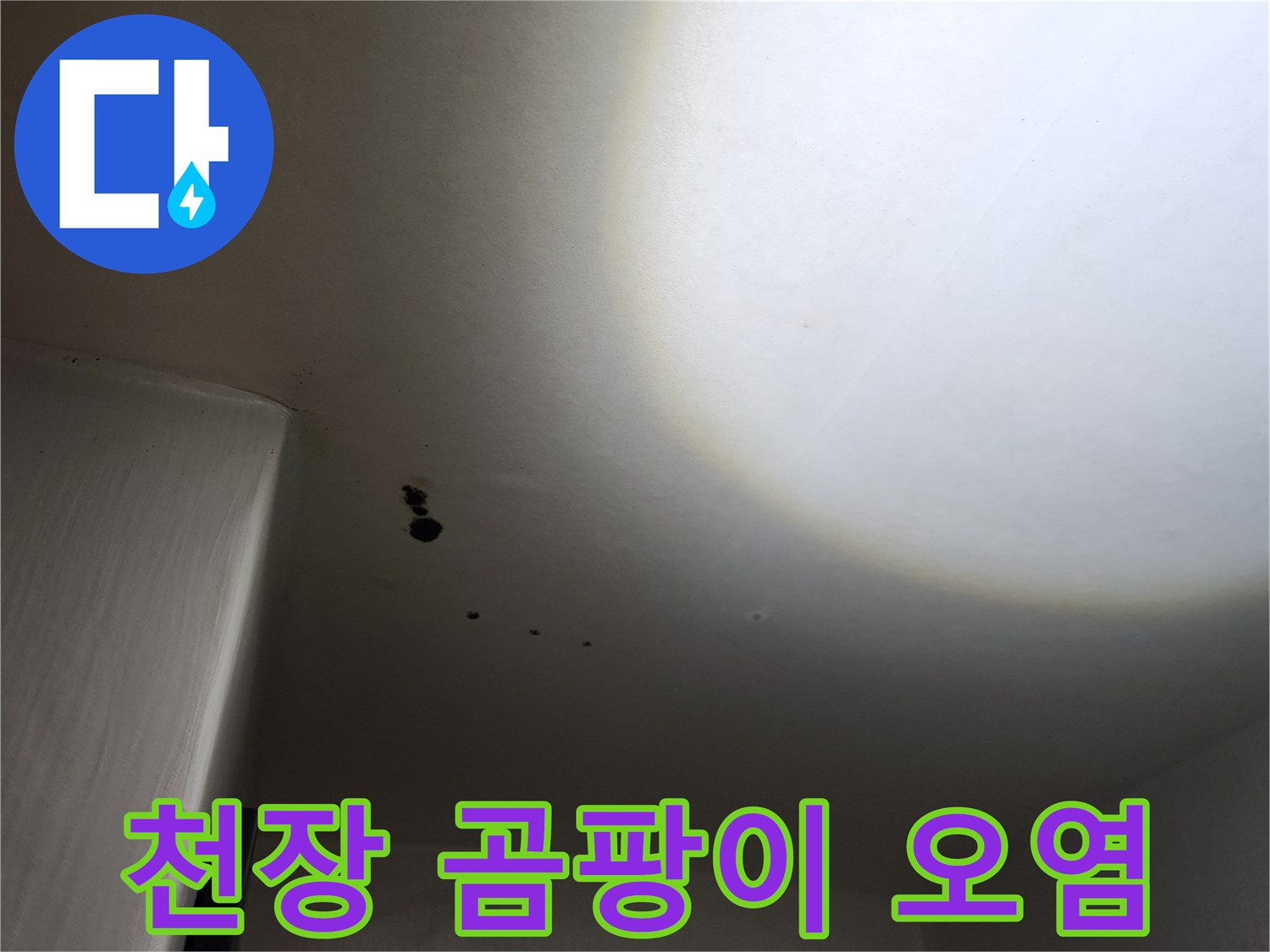 천장 벽지에 발생한 검은색 곰팡이와 습기 흔적