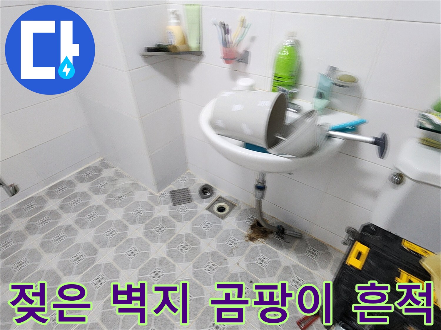 패턴 벽지 위로 나타난-습기로 인한 변색과 곰패 현상