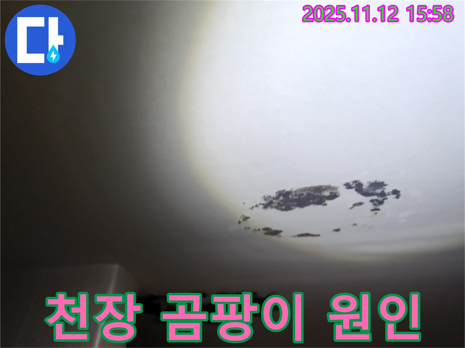 포천시 구읍리 천장 곰팡이 - 누수로 인한 곰팡이 발생 원인을 파악 중인 사진입니다.