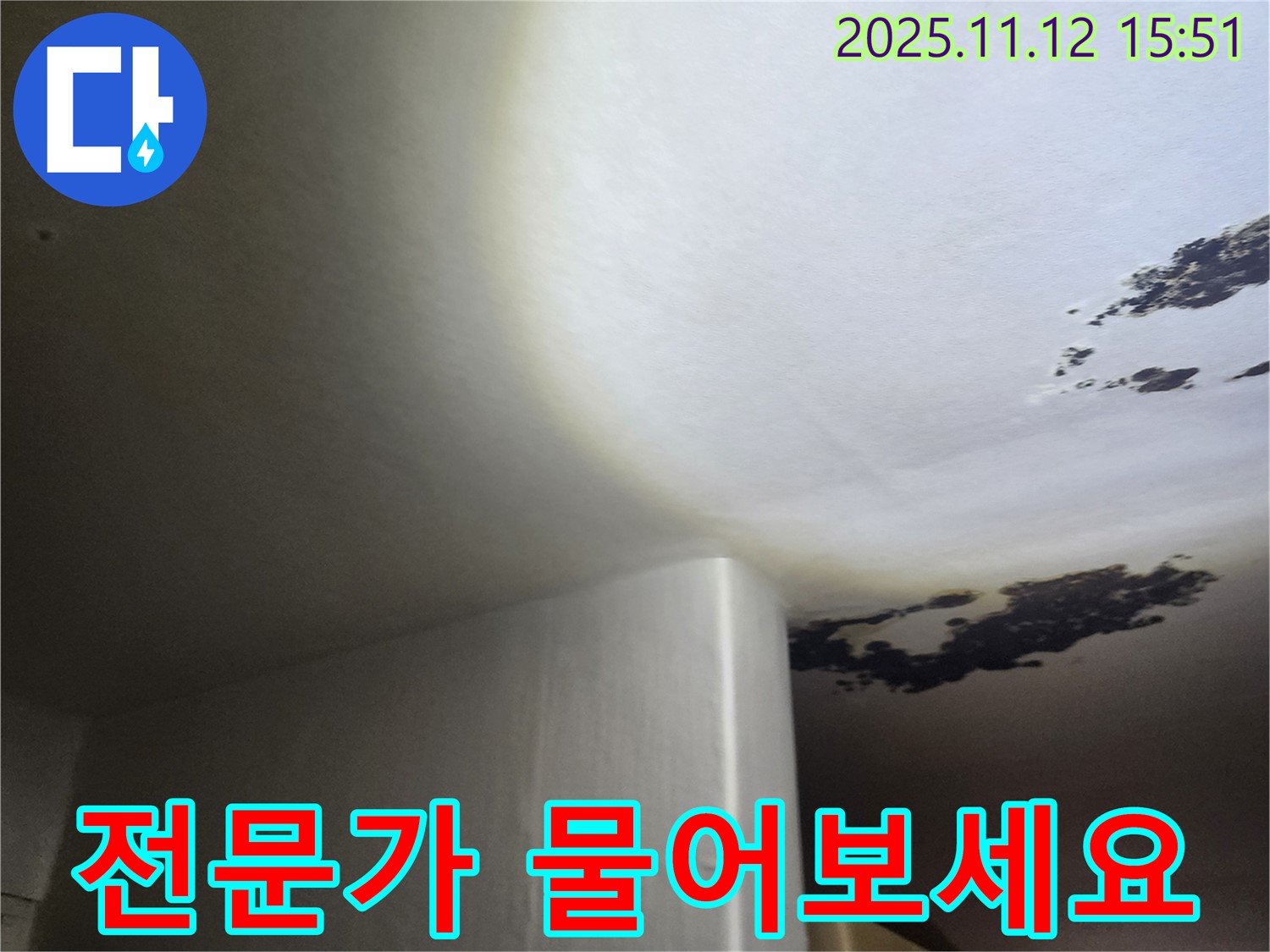포천시 군내면 - 곰팡이 얼룩 심한 천장, 혹시 누수? 전문가에게 물어보세요!