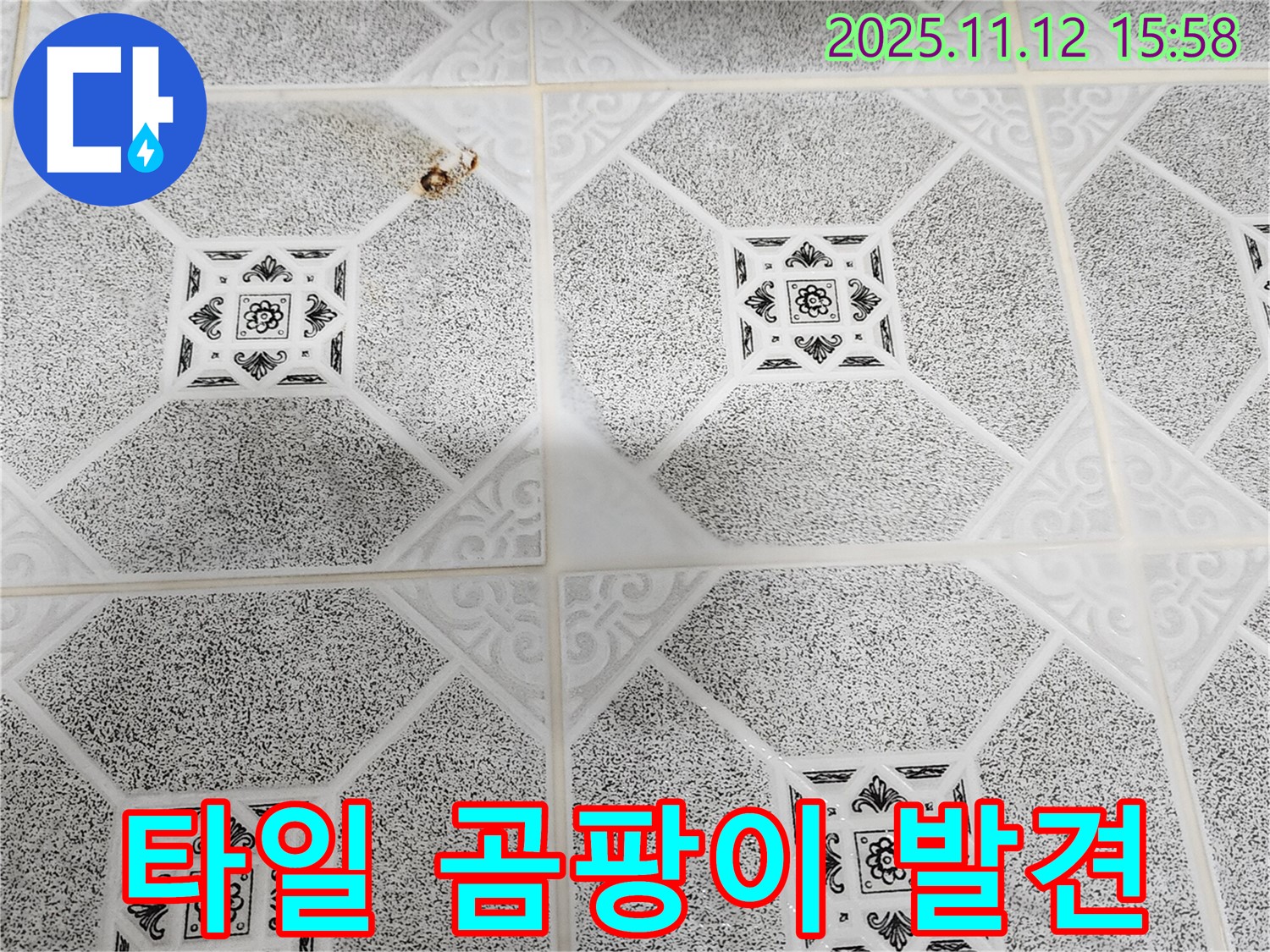 포천시 군내면 구읍리 누수 - 문제 타일 주변에서 곰팡이를 발견했습니다!