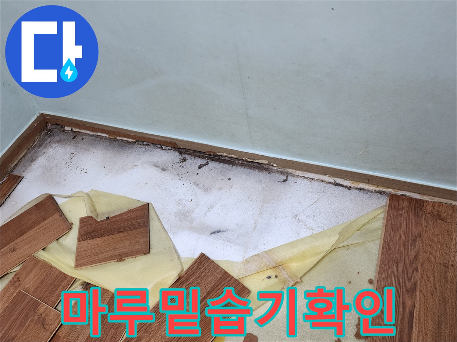 마루를 제거한 자리의 습윤한 상태와 벽면 오염 부위