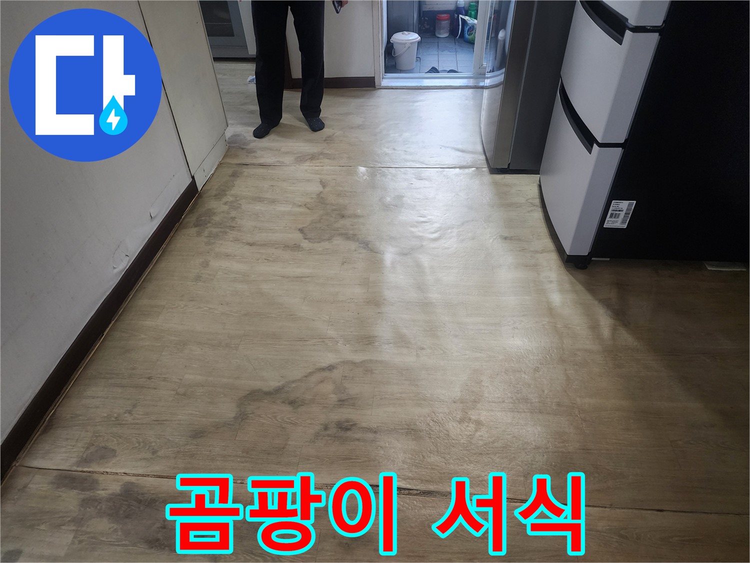권선구 아파트 누수 - 젖은 장판, 곰팡이 서식 환경 조성 - 건강 위협