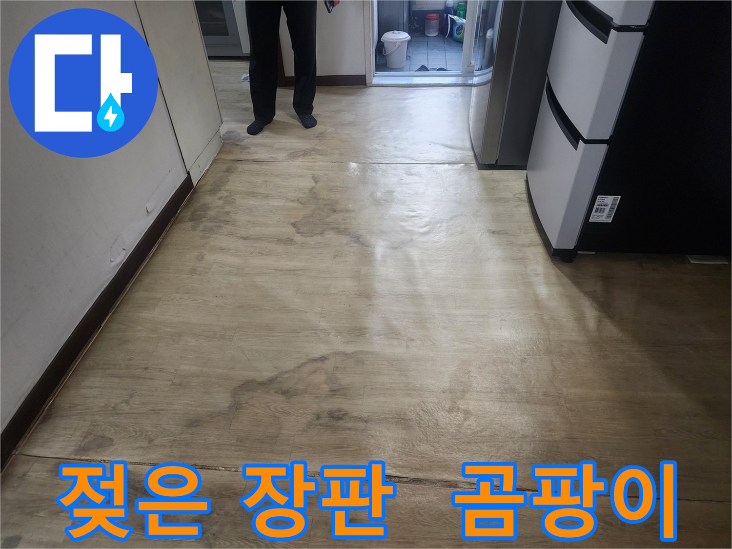 권선구 아파트 누수 - 젖은 장판과 곰팡이 냄새, 누수 원인 의심 - 즉시 점검 필요