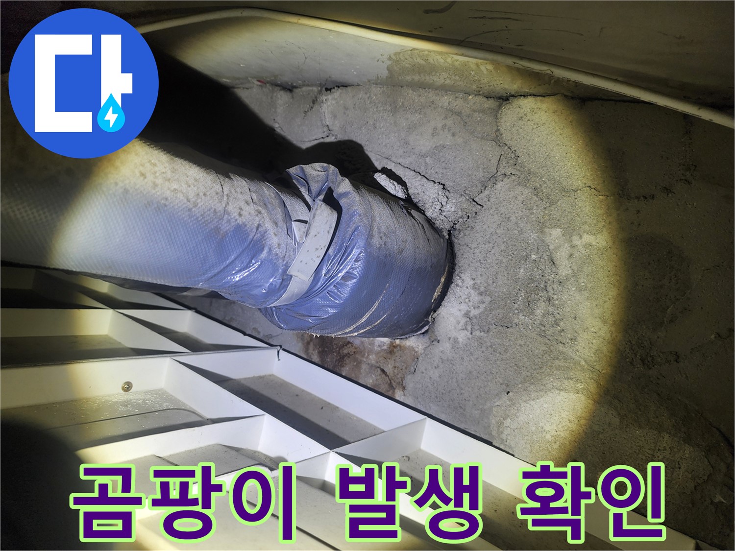권선동 두산동아 아파트 누수 - 누수 부위 주변 곰팡이 발생 - 건강 문제 유발 가능성
