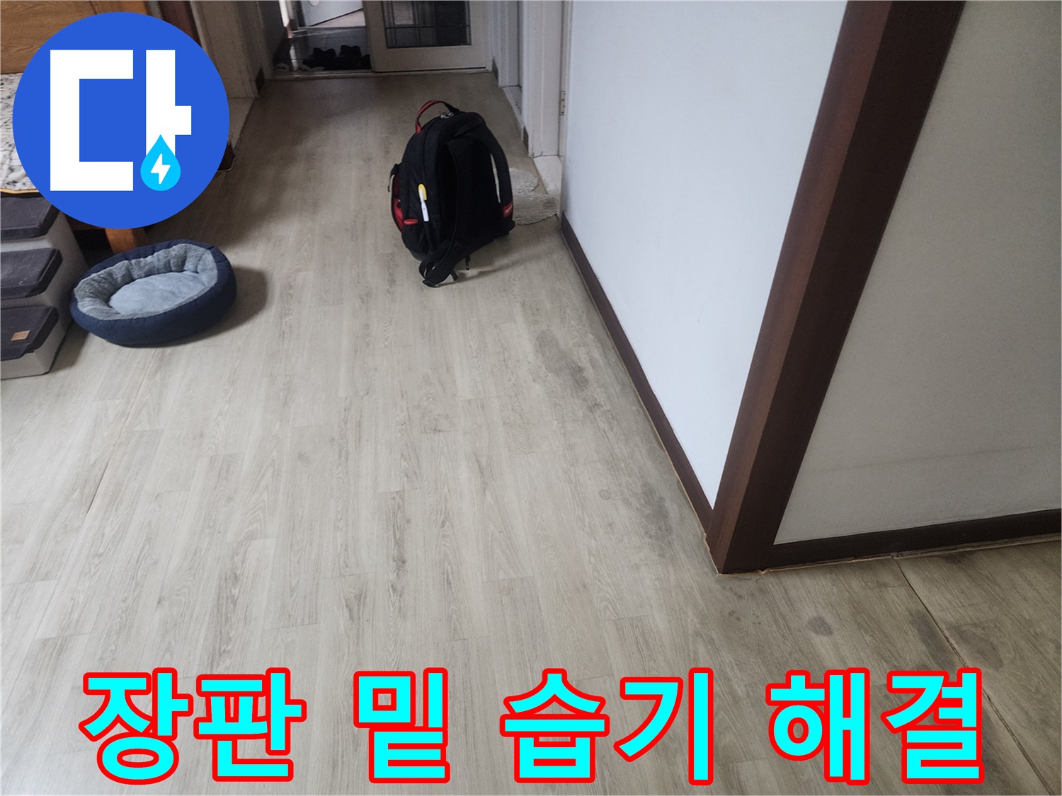 수원 권선구 누수 - 장판 밑 습기 문제 해결 과정