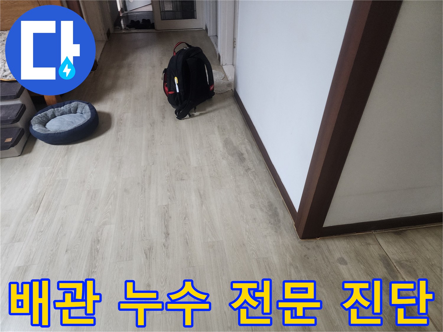 수원 누수탐지 - 장판 밑 배관 누수 전문 진단