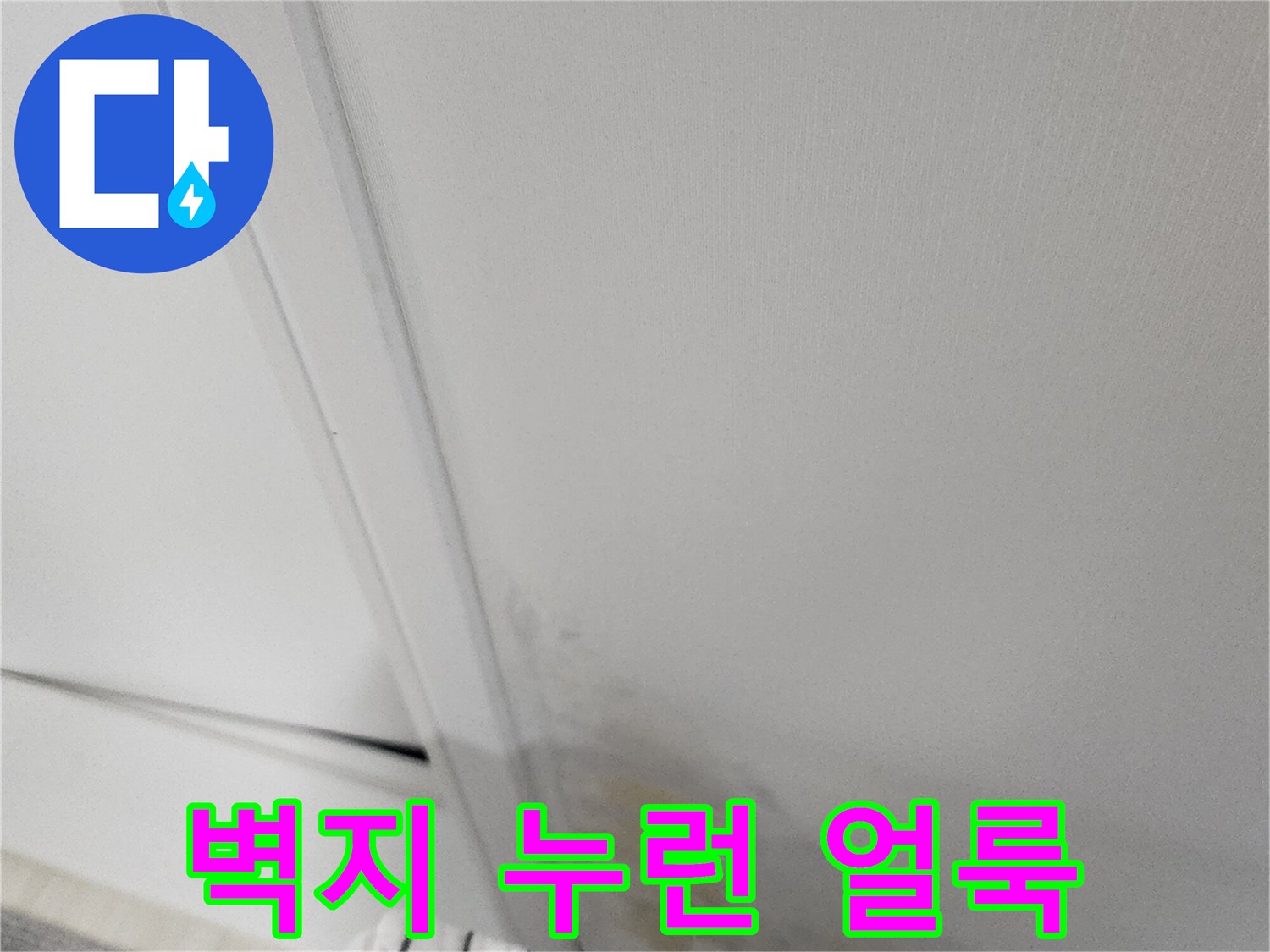 누수로 인한 벽지 하단부의 변색과 오염 현장