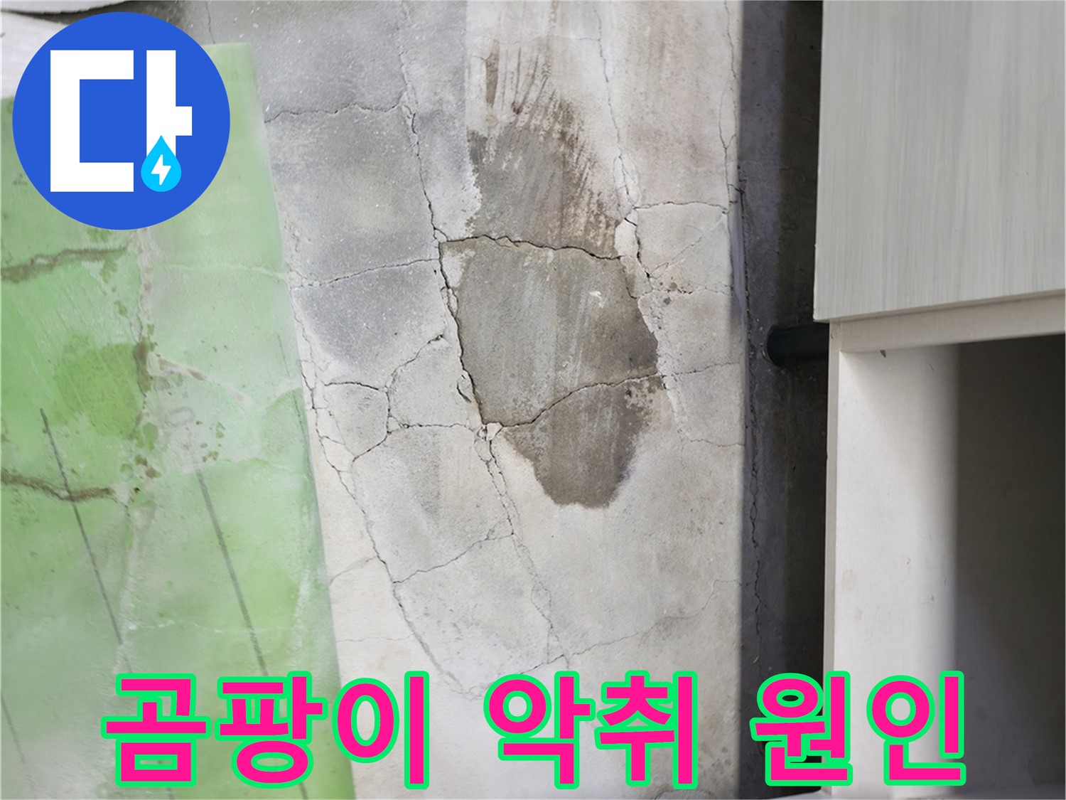 포천 신읍동 - 싱크대 주변 곰팡이, 악취 발생의 주범