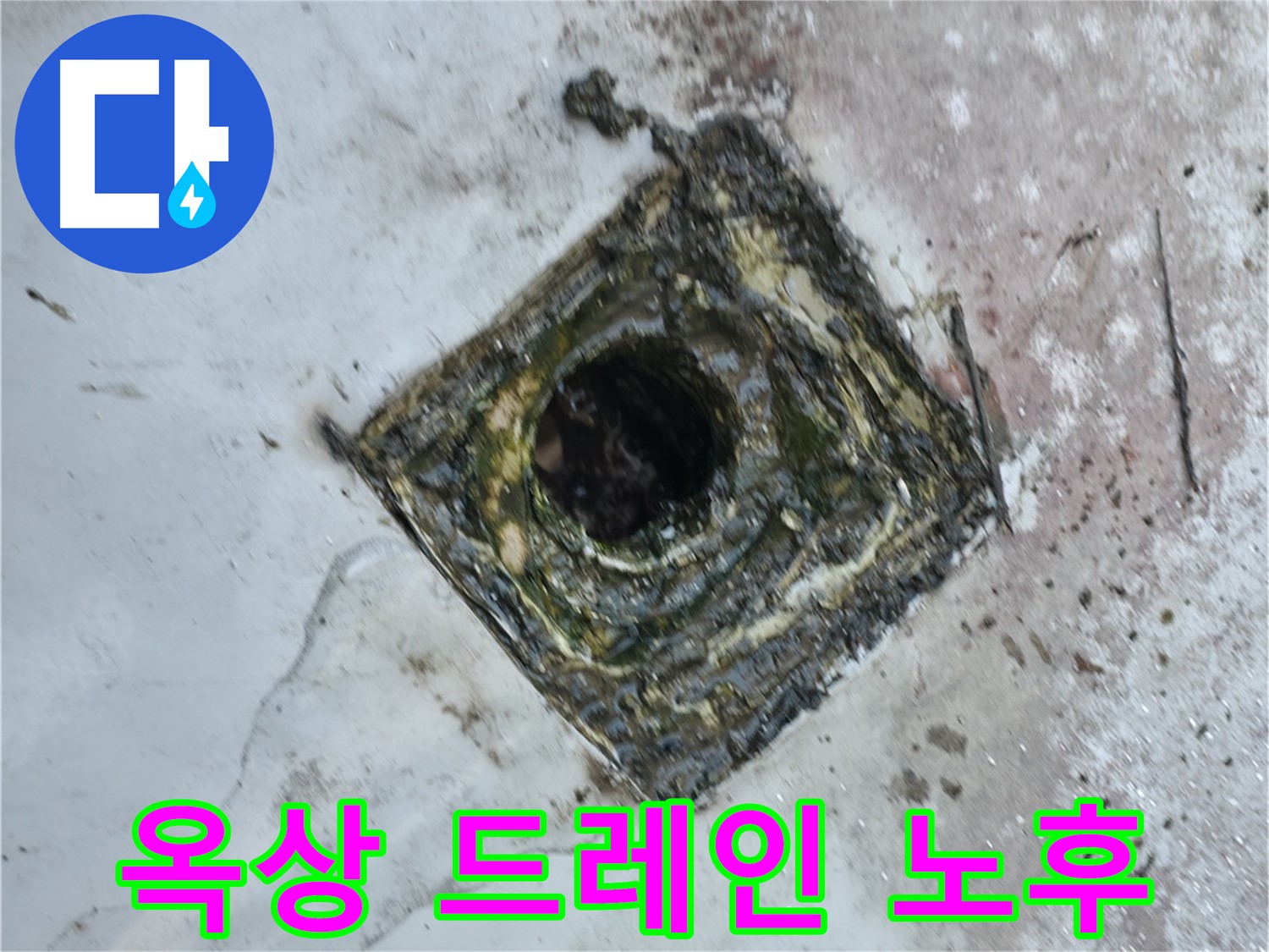 금천구 독산동 옥상 드레인 노후화 - 방수층 손상 및 누수 발생