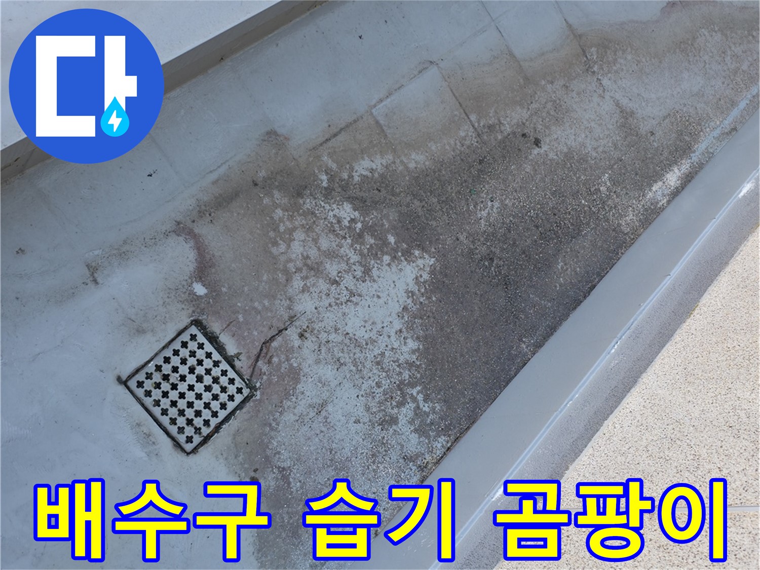 금천구 베란다 배수구 주변 습기 및 곰팡이 - 누수의 확실한 증거입니다.