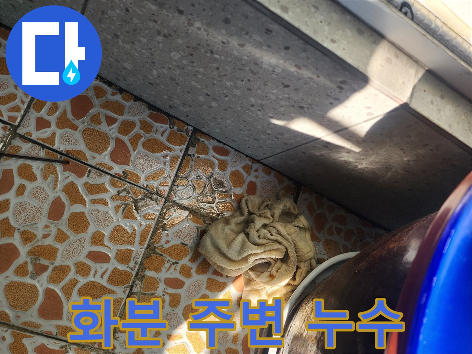 화분 주변 타일 젖음 - 광주시 누수탐지 전문 업체에서 누수 원인을 찾기 위해 정밀 진단을 실시하고 있습니다.