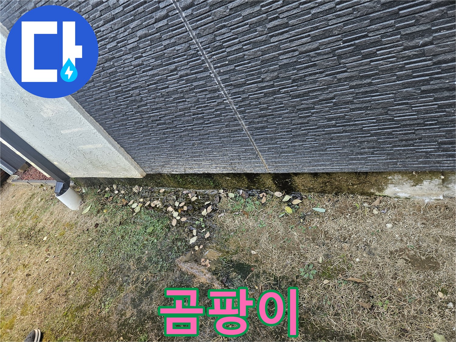 이천시 아리역로 주변 외벽 누수 의심 - 곰팡이 발생 가능성 - 습도 관리 중요