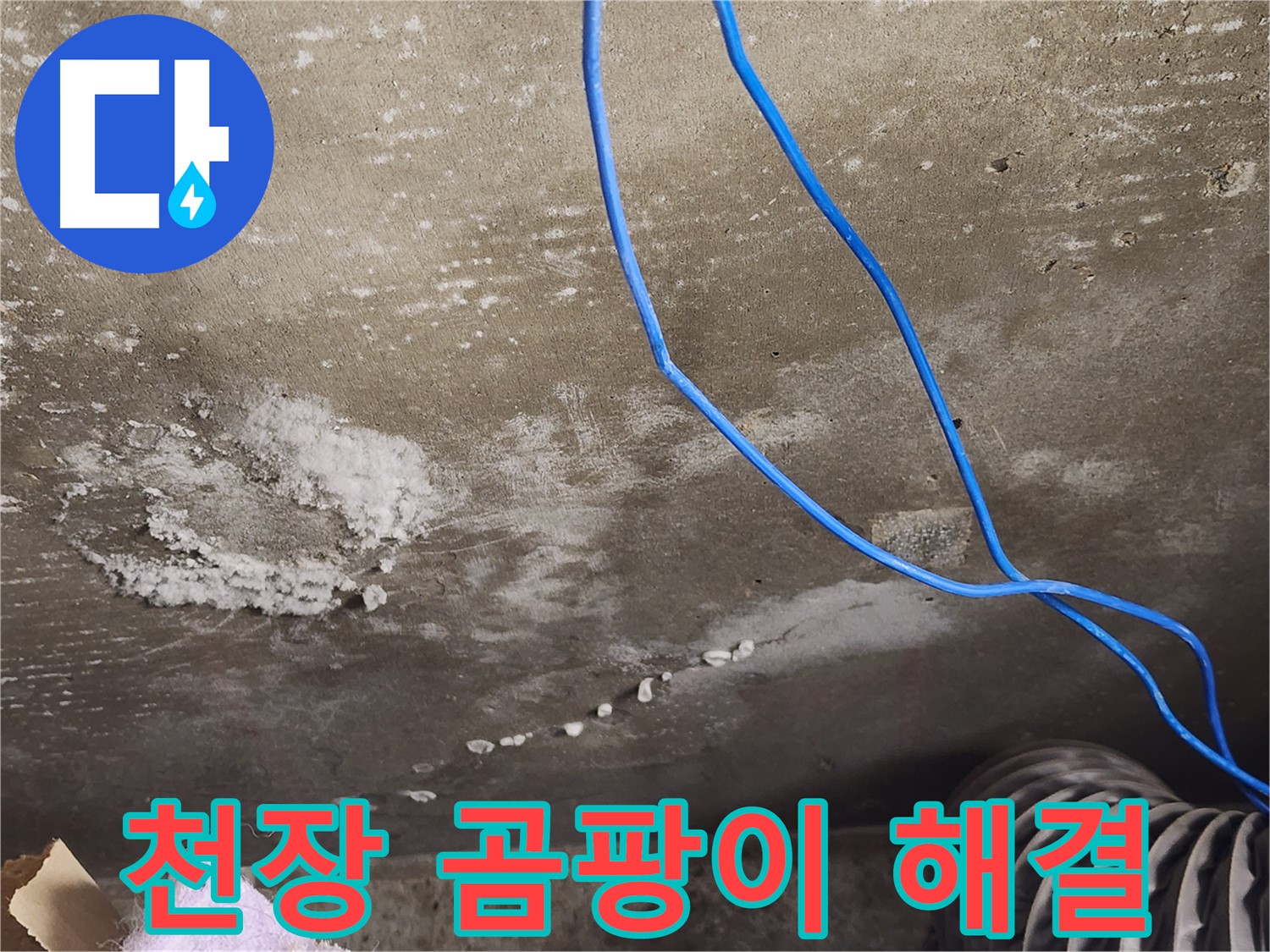 보정동 콘크리트 천장 - 하얀 곰팡이 완벽 제거 - 쾌적한 공간 복원