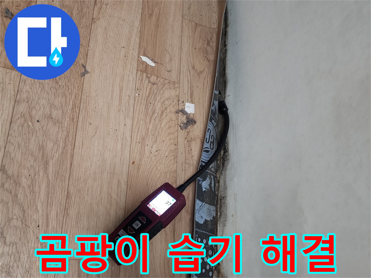 장안구 누수탐지 - 곰팡이, 누수, 습기 완벽 해결