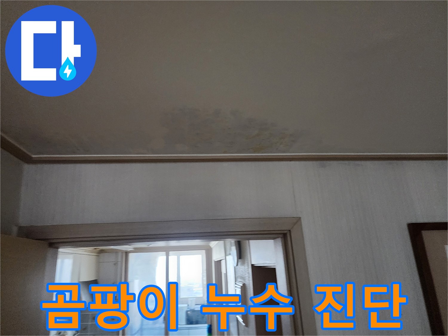 광명 철산동 두산위브 아파트 곰팡이 발생 및 누수 진단 - 누수 전문가가 곰팡이 발생 원인과 누수 상태를 진단합니다.
