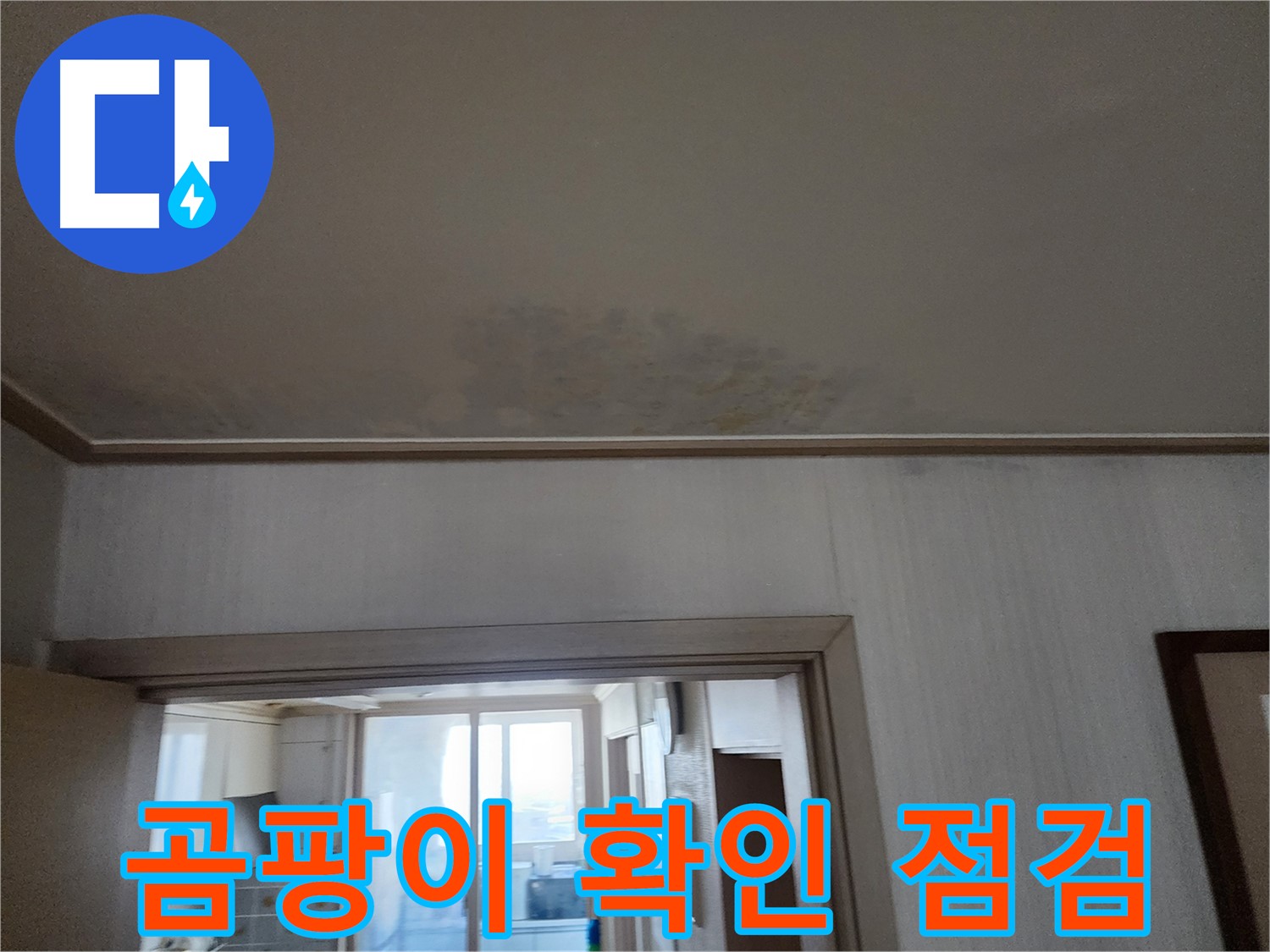 광명 철산동 두산위브 아파트 천장 누수 점검 및 곰팡이 확인 - 누수 전문가가 천장 누수 상태를 꼼꼼히 점검하고 곰팡이 여부를 확인합니다.