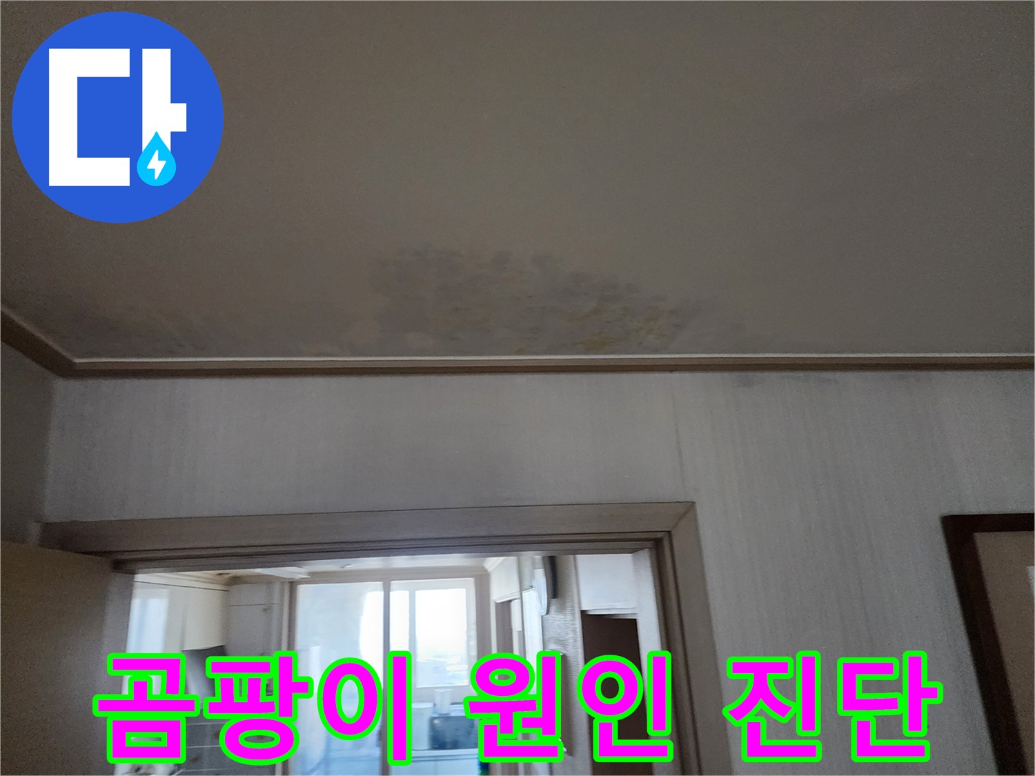 철산동 두산위브 아파트 천장 곰팡이 원인 진단 - 누수 전문가가 곰팡이 발생 원인을 분석하고 있습니다.