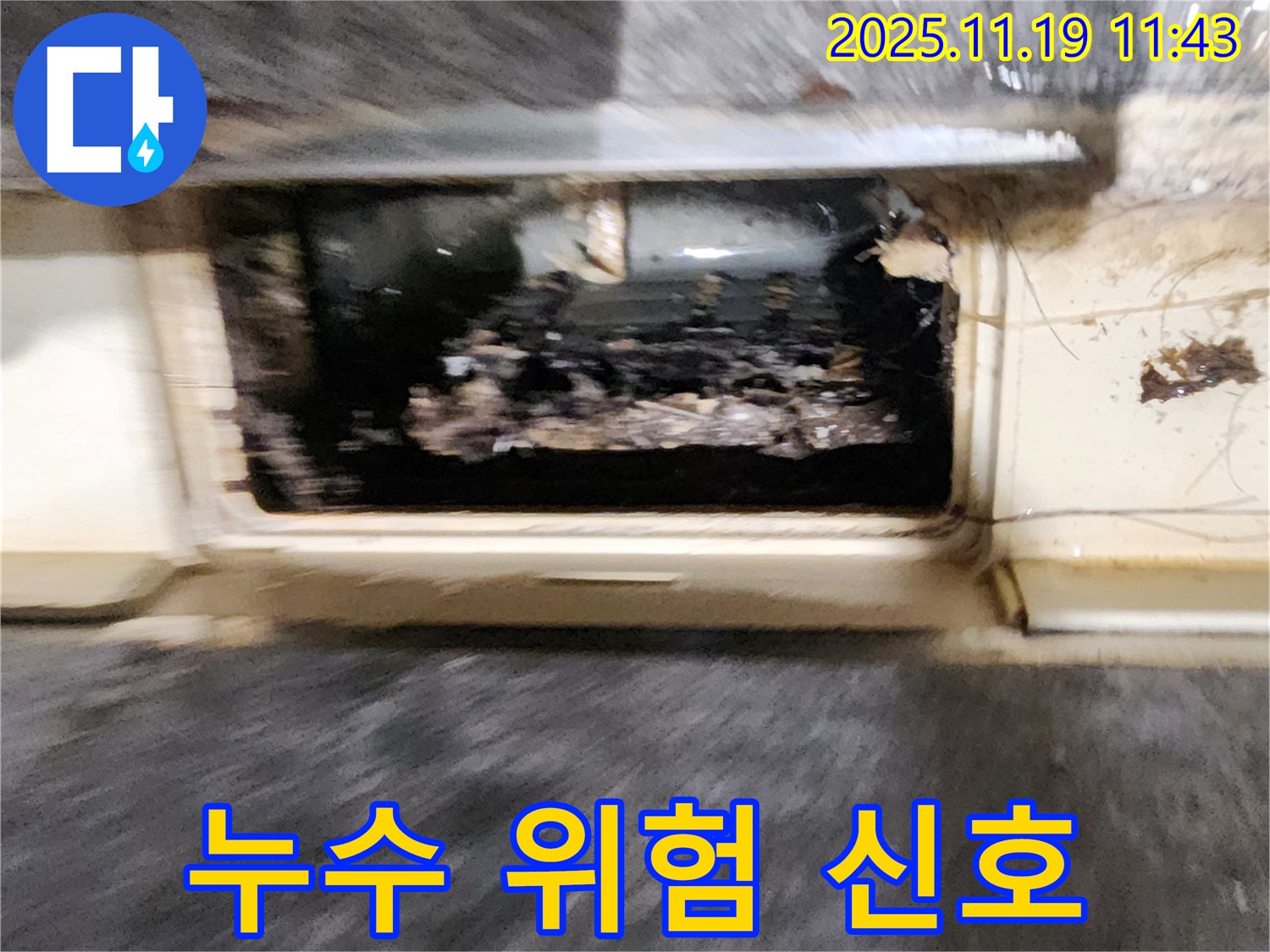 포천시 내촌면 마명리 누수 현장 - 배수구 막힘, 혹시 이것도 누수 위험 신호일까요?