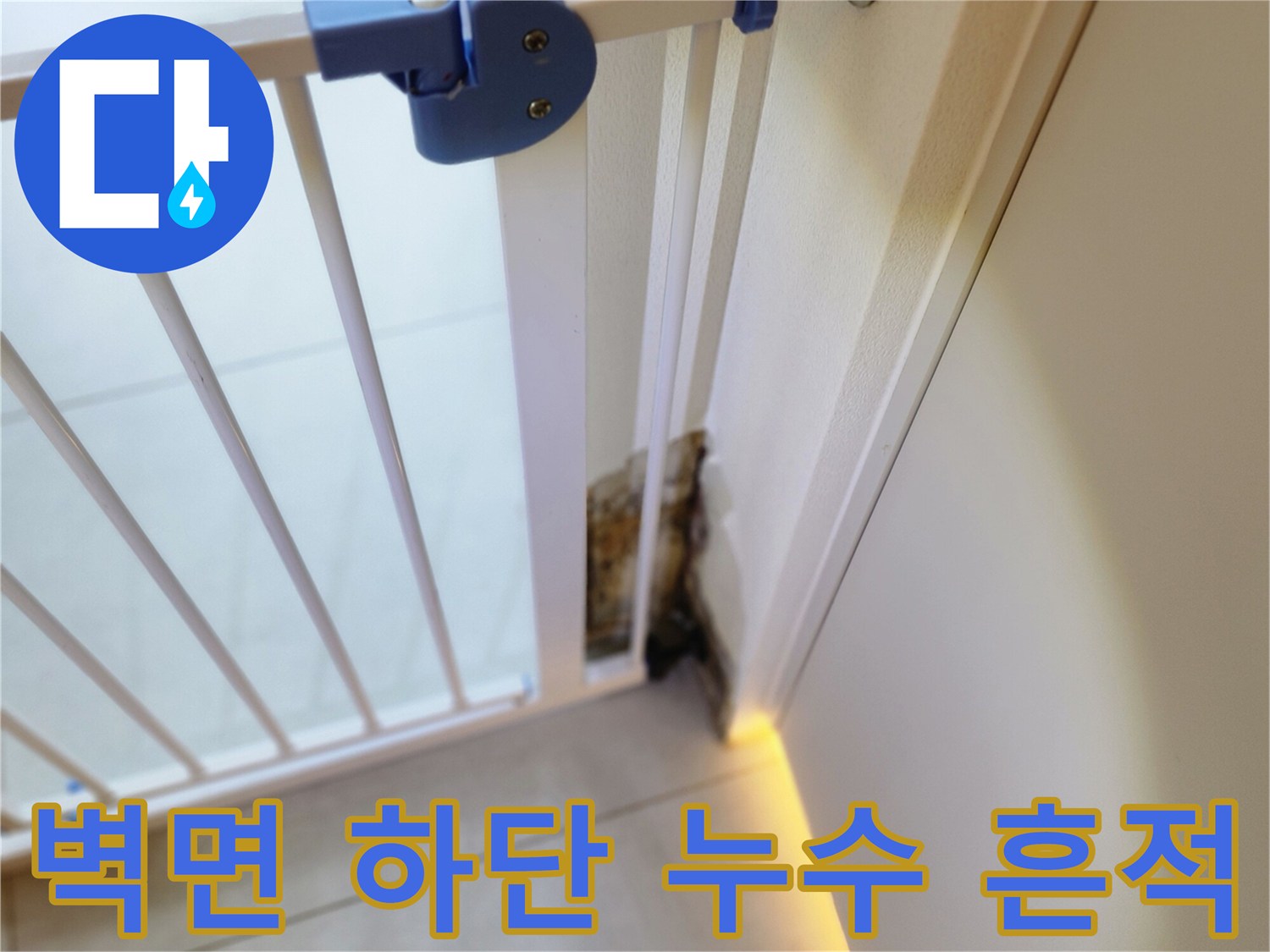 누수로 인해 벽면 하단이 검게 변하고 곰팡이가 생긴 모습