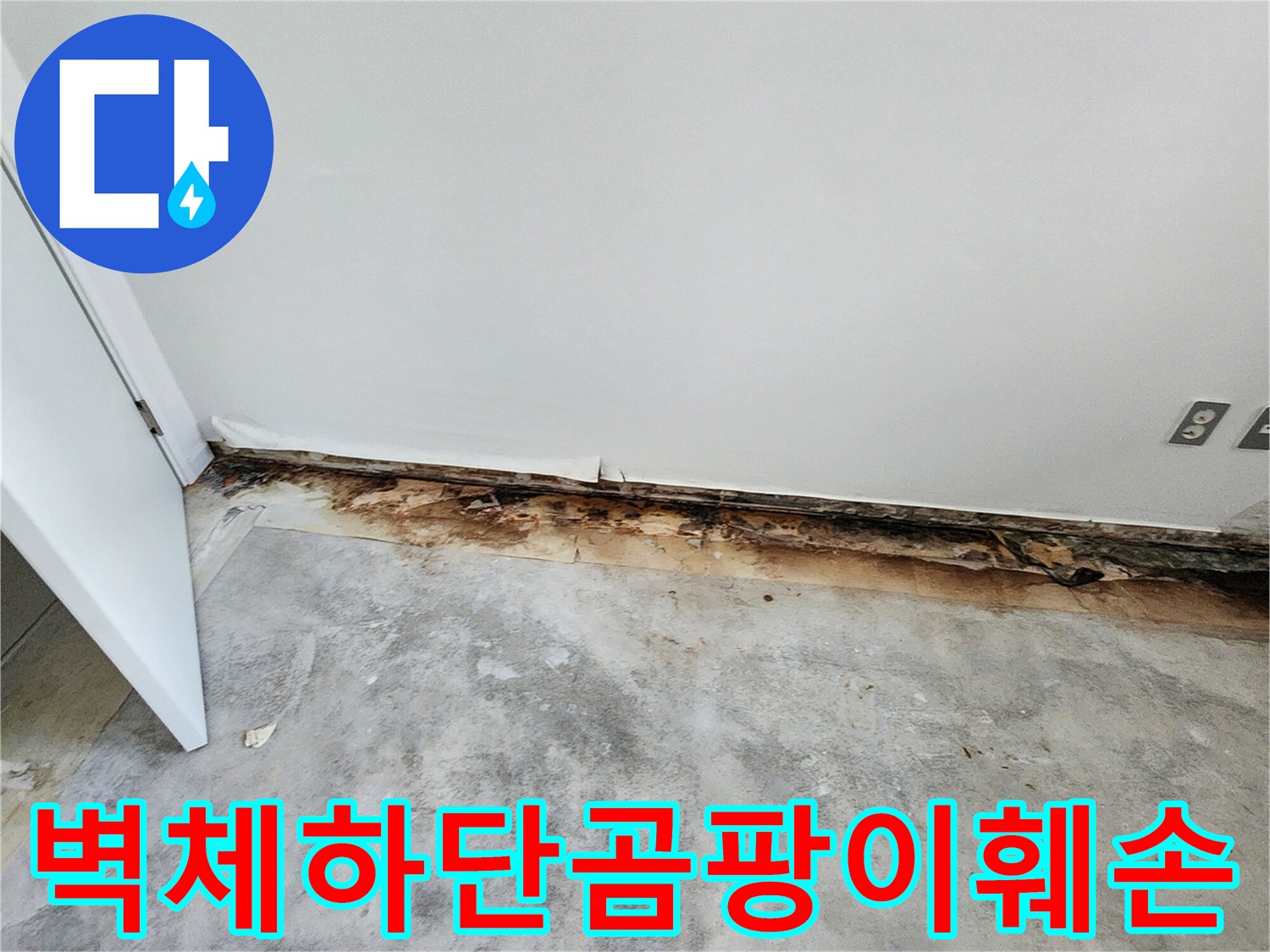 벽지 하단부가 젖어 곰팡이가 번진 현장 사진 - 누수 원인 파악 중