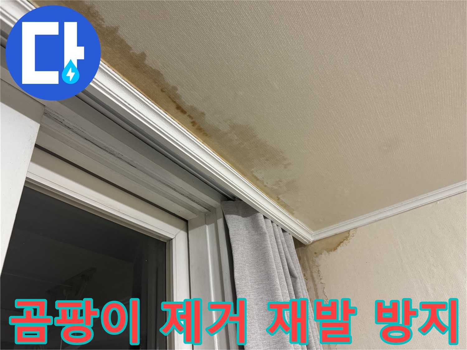 서대문구 홍제동 창문 주변 천장 곰팡이 - 완벽 제거 및 재발 방지 시공 이미지입니다.