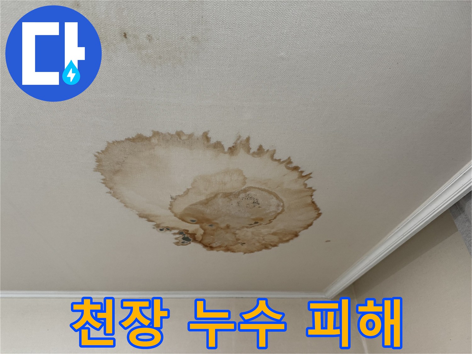 세검정로에서 발생한 천장 누수 피해 - 천장에 생긴 얼룩과 곰팡이를 보여주는 사진