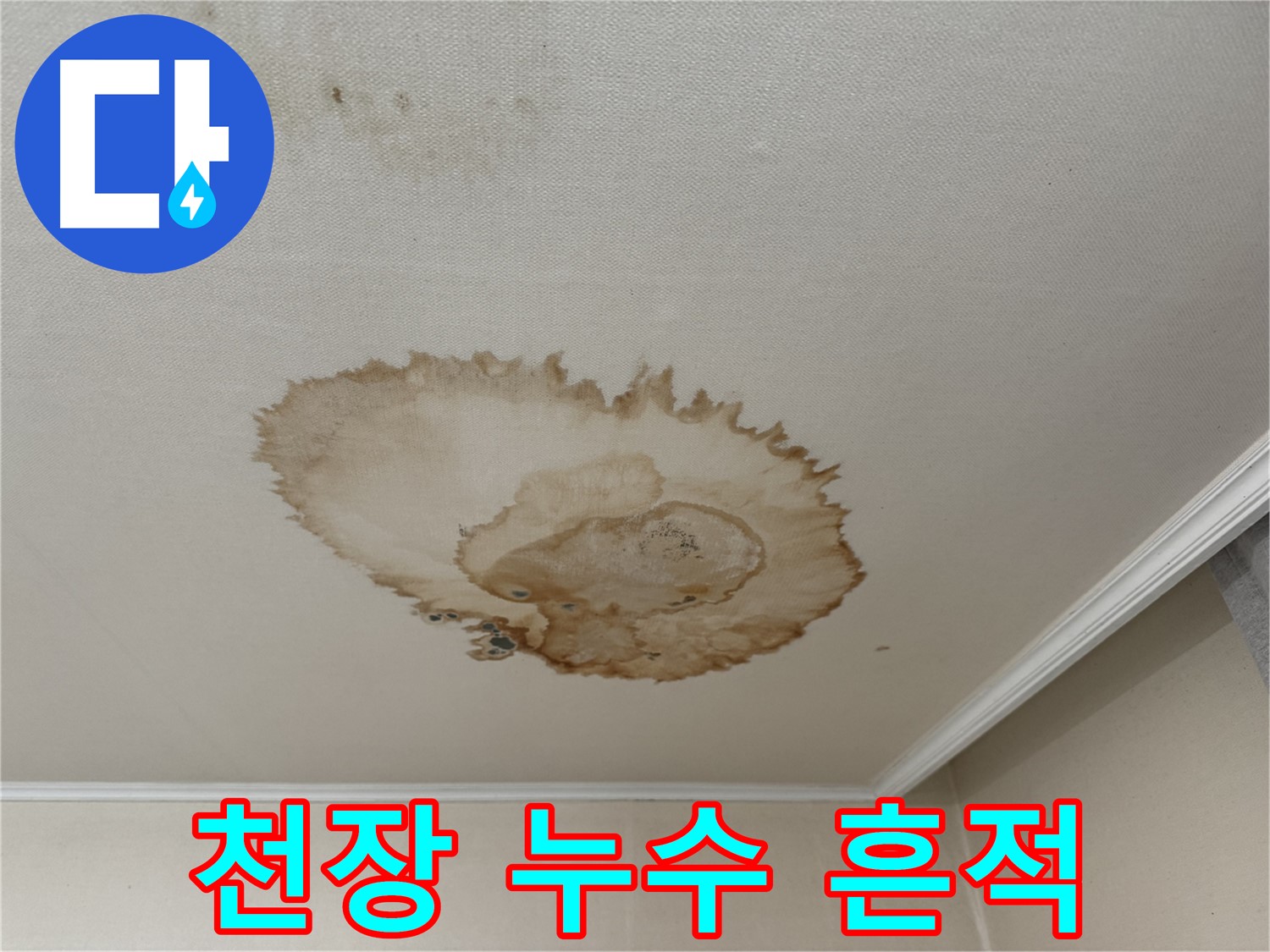 세검정에서 발생한 천장 누수 흔적 - 물이 스며든 자국과 변색된 천장을 보여주는 사진