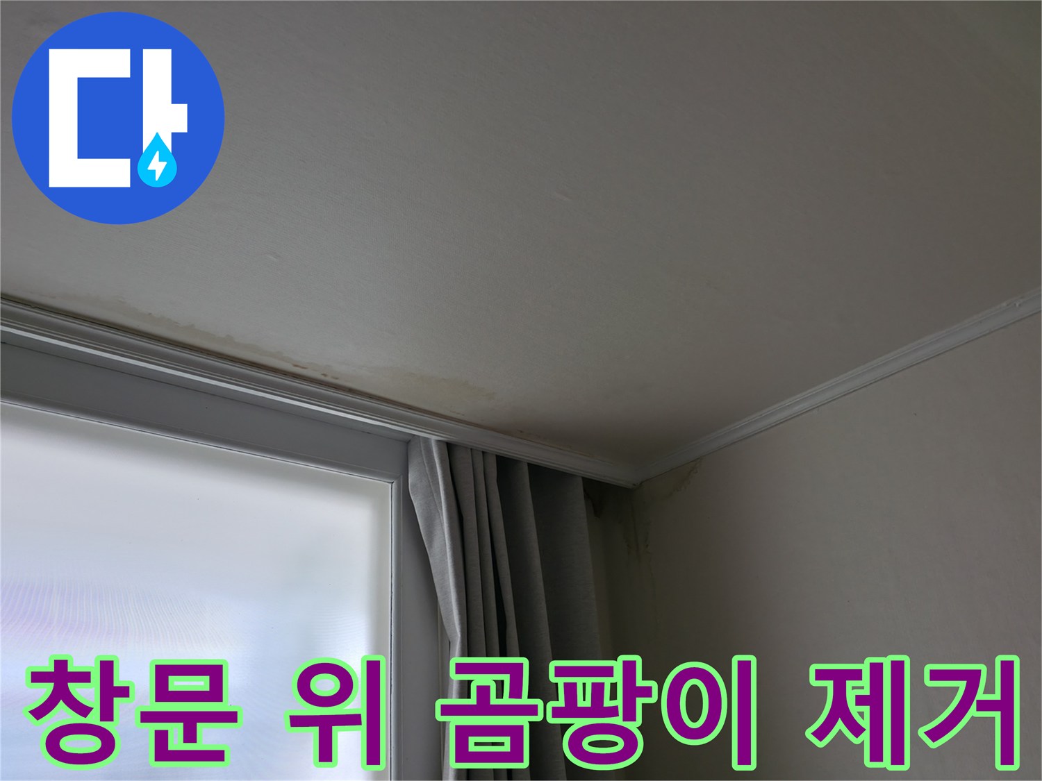 창문 위 곰팡이 - 곰팡이 제거 및 쾌적한 환경 조성