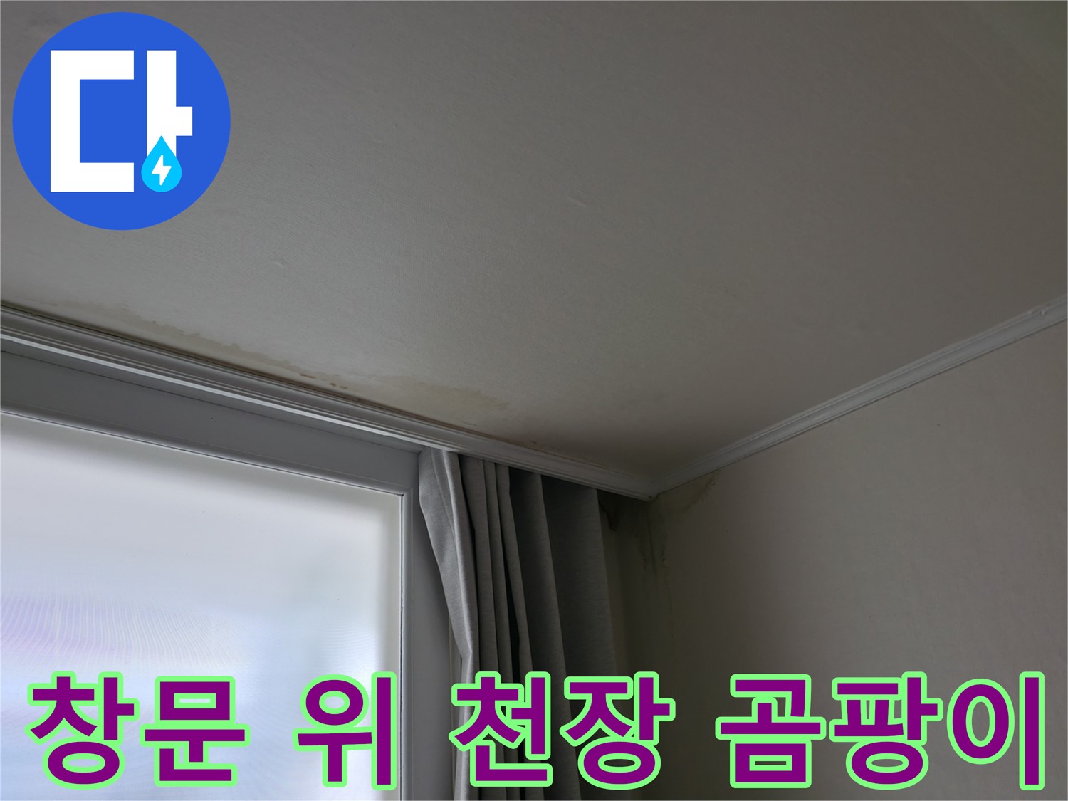 창문 위 천장 곰팡이 - 곰팡이 제거 및 방지 시공