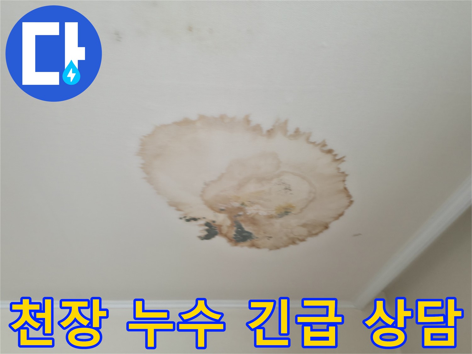 천장 누수 - 24시간 긴급 상담 - 언제든지 친절하게 상담