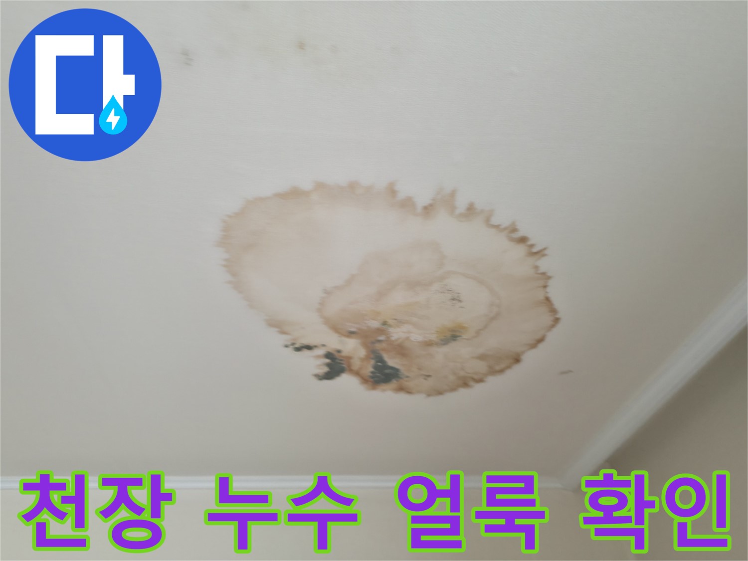 천장 누수 얼룩 - 변색된 천장 - 누수 탐지 및 보수 전문가