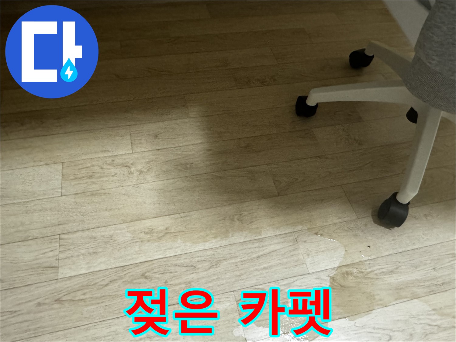 카펫이 물에 젖어 있는 모습 - 카펫 손상 및 곰팡이 발생 우려.