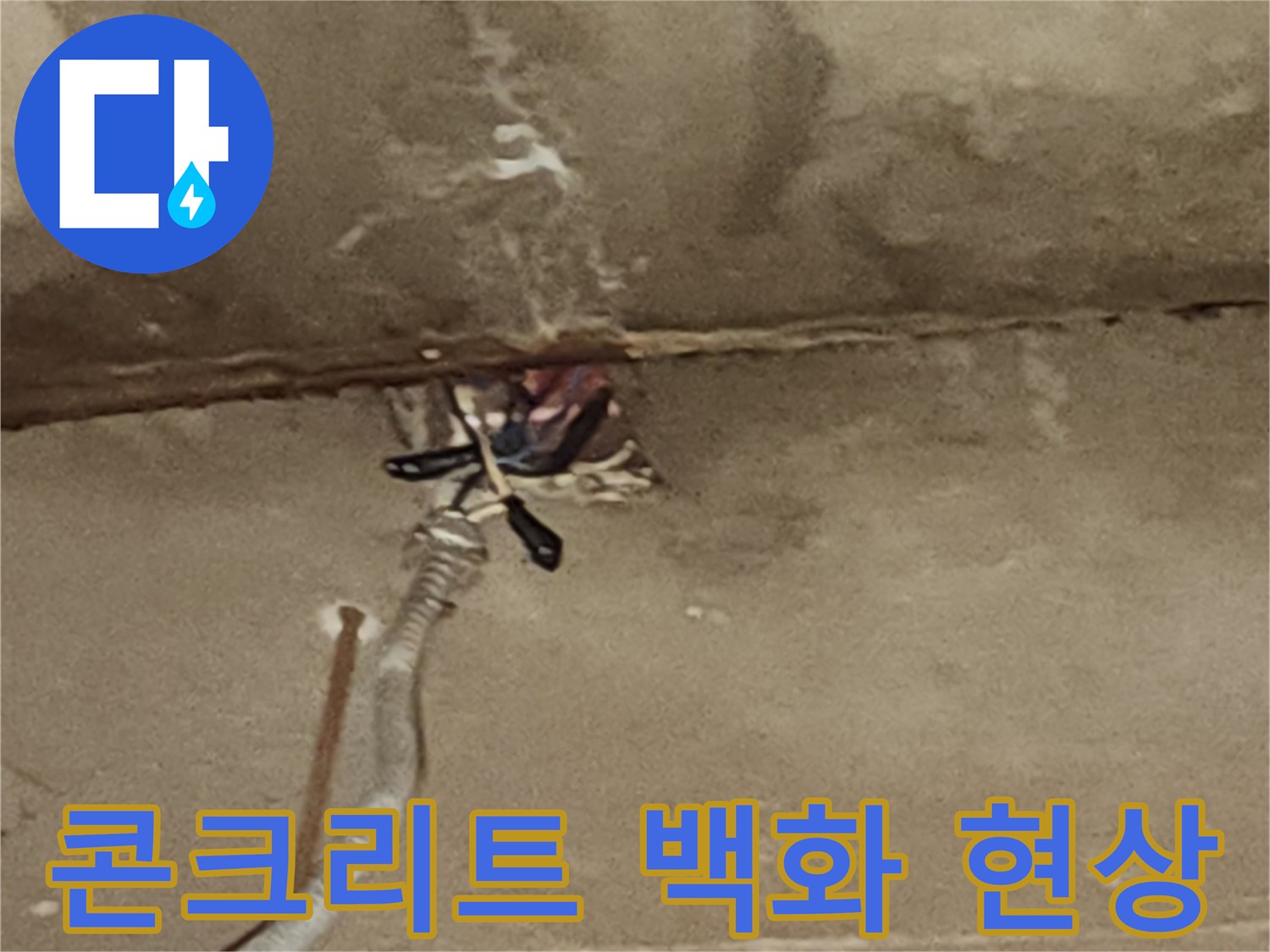 천장 콘크리트 면에 발생한 백화 현상과 누수 흔적