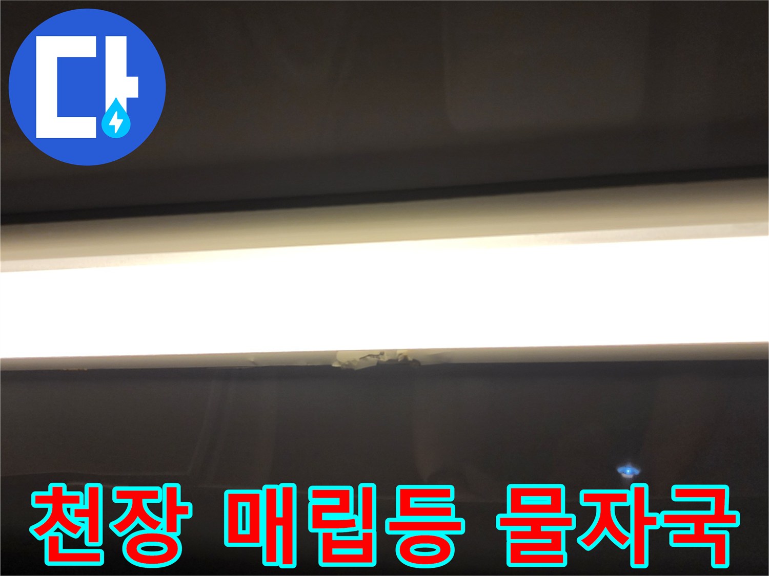 욕실 천장 등기구 주변의 젖은 자국과 변색된 마감재
