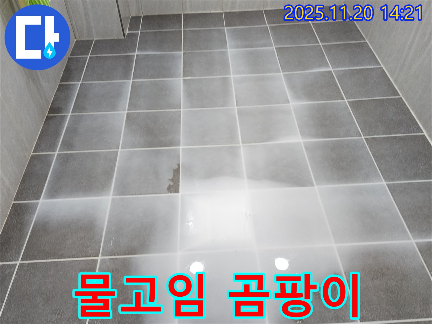 욕실 타일 위 물고임 심각 - 곰팡이 서식 및 건강 위협, 쾌적한 환경 조성이 시급합니다.